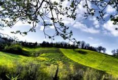 校园籃(lán)球三分大赛举行，选手精准投籃(lán)