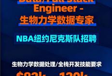 纽约尼克斯队-全栈工程师