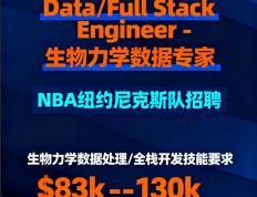 纽约尼克斯队-全栈工程师