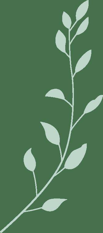 見(jiàn)面会精彩集锦新鲜出炉!