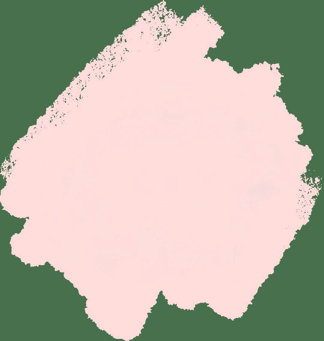 見(jiàn)面会精彩集锦新鲜出炉!